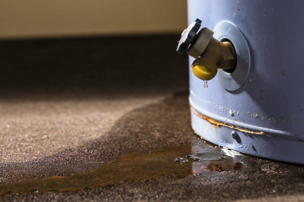 Best Fire Damage Restoration  in Hays, KS