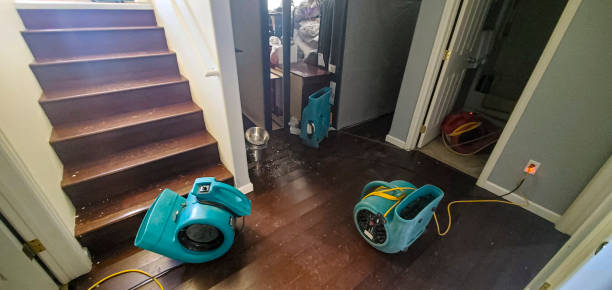 Best Professional water damage repair  in Hays, KS