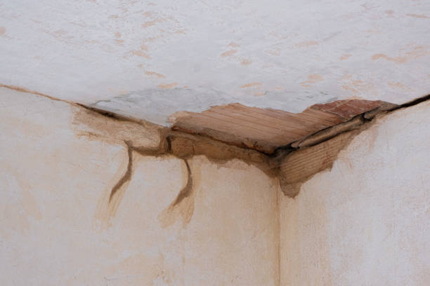 Best Water damage contractors near me  in Hays, KS