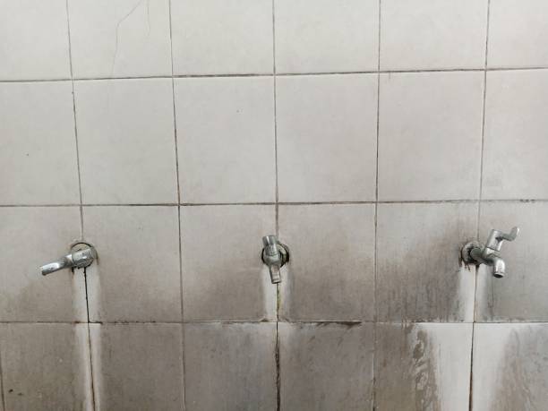 Best 24/7 water damage repair  in Hays, KS