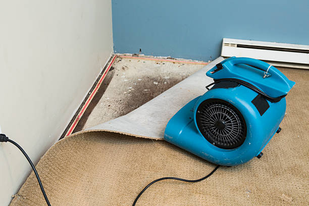 Water damage restoration experts in KS